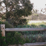 Woman wearing the Sharon Top with black shorts. She's standing outside , leaning on a wooden fence with trees in the background.